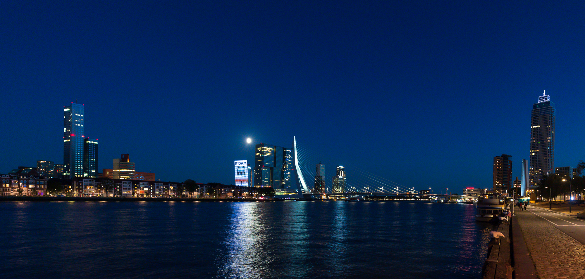 Erasmusbrug Rotterdam Zalmhaventoren Nieuwe Maas